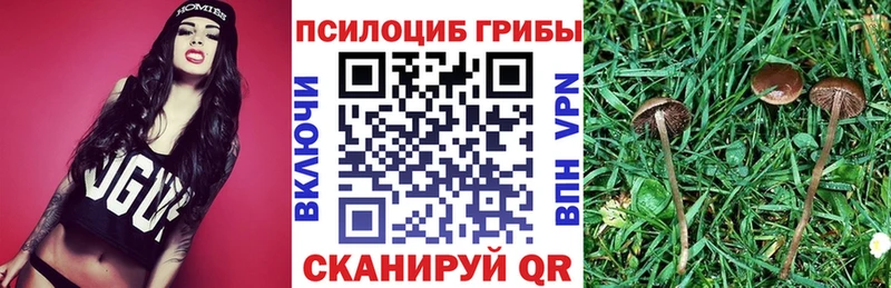 наркотики Абдулино Псилоцибиновые грибы мухоморы